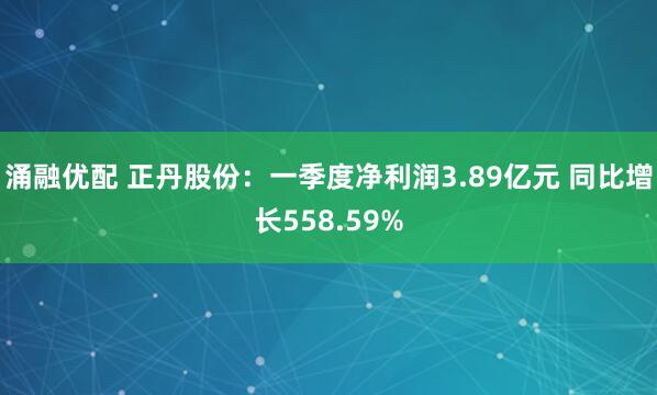 涌融优配 正丹股份：一季度净利润3.89亿元 同比增长558.59%