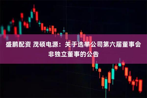 盛鹏配资 茂硕电源：关于选举公司第六届董事会非独立董事的公告