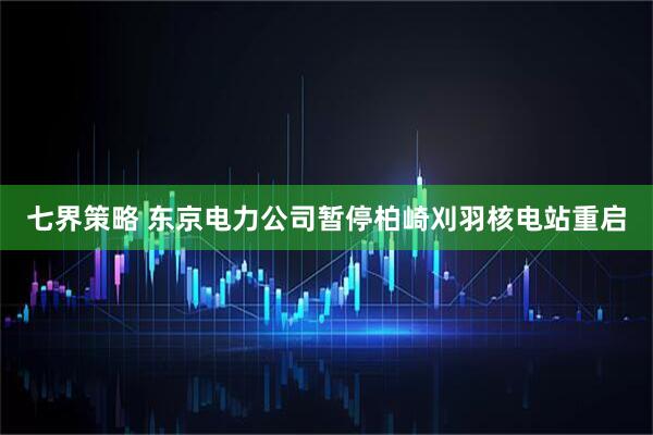 七界策略 东京电力公司暂停柏崎刈羽核电站重启