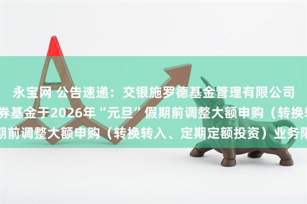 永宝网 公告速递：交银施罗德基金管理有限公司关于交银稳益短债债券基金于2026年“元旦”假期前调整大额申购（转换转入、定期定额投资）业务限额