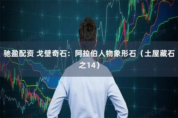 驰盈配资 戈壁奇石：阿拉伯人物象形石（土屋藏石之14）
